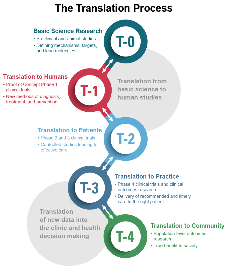 research about translation theory